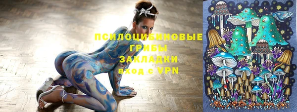 шишки Алексин