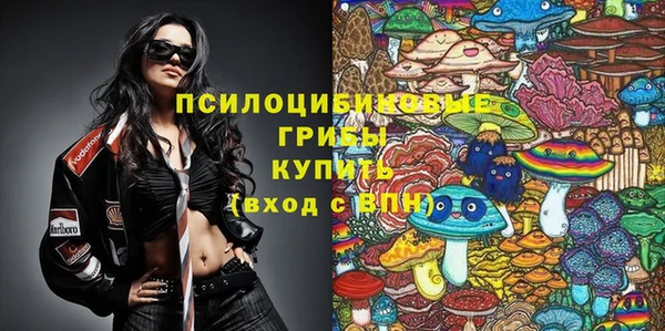 метадон Аркадак