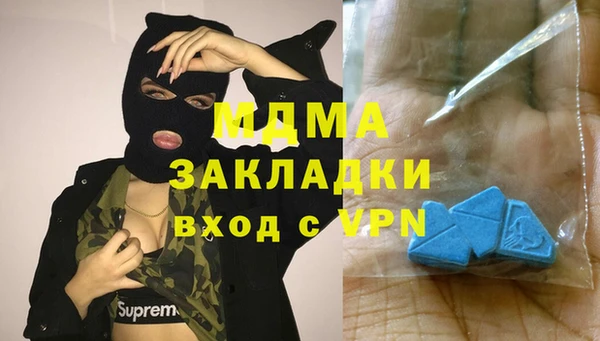 шишки Алексин