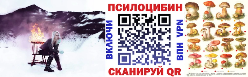 кракен онион  Пушкино  Галлюциногенные грибы Cubensis  что такое  